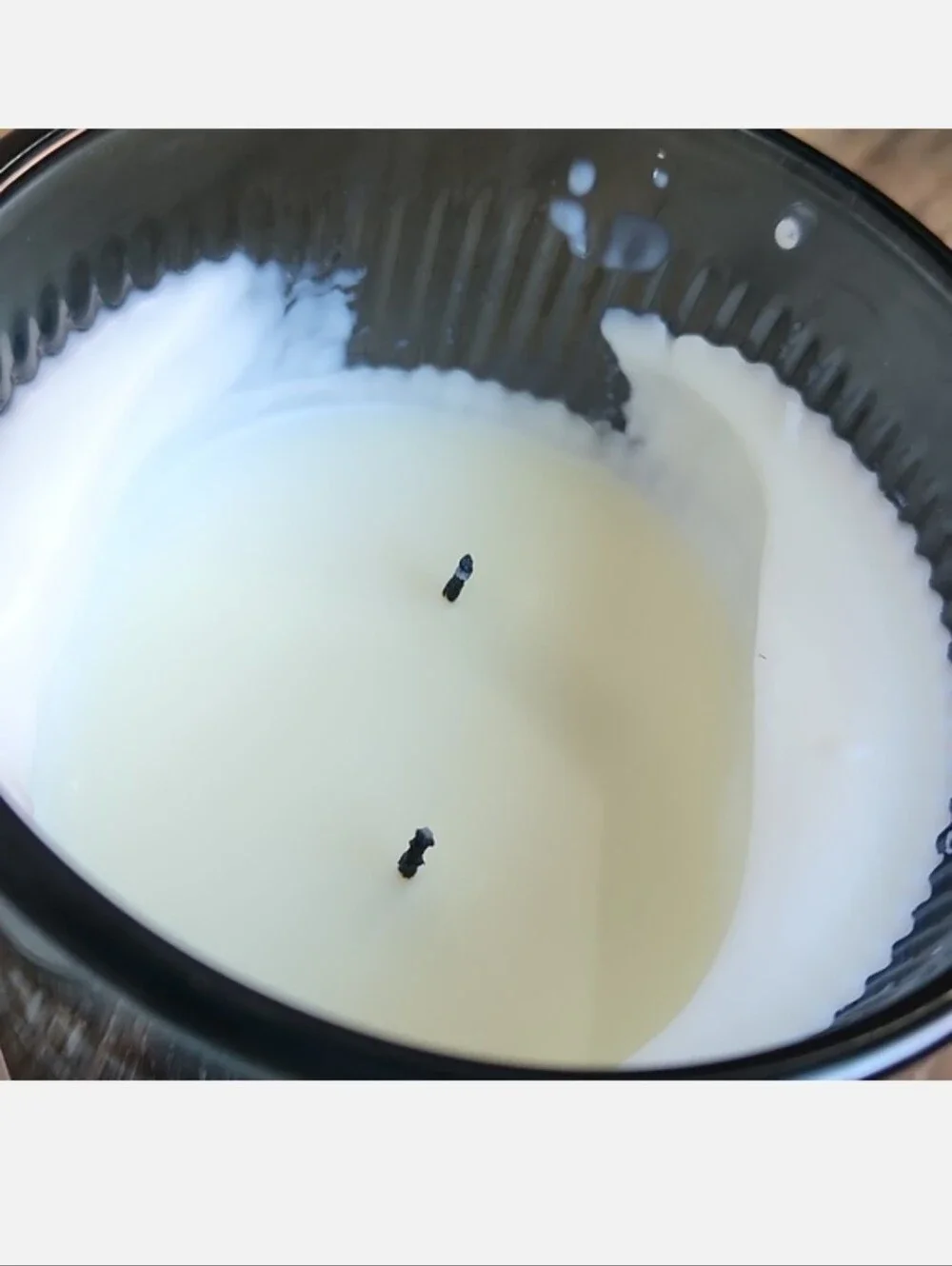 DW Home Ocean Scented Candle Water Lilies Roses Jasmine Ambered Musk